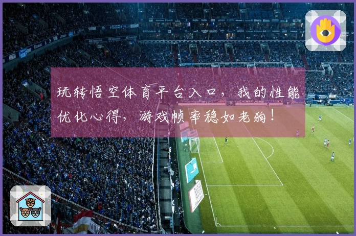 玩转悟空体育平台入口，我的性能优化心得，游戏帧率稳如老狗！