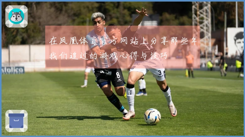 在凤凰体育官方网站上分享那些年我们追过的游戏心得与技巧