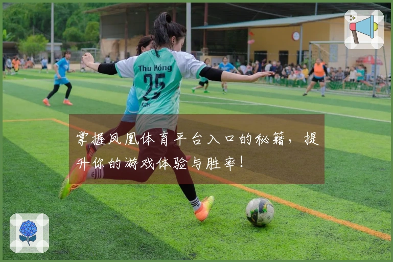 掌握凤凰体育平台入口的秘籍，提升你的游戏体验与胜率！